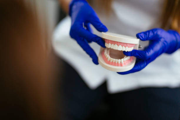 Trusted Lake Wissota, WI Dental Services Experts